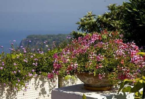 Hotel Da Gelsomina Anacapri  Esterno foto